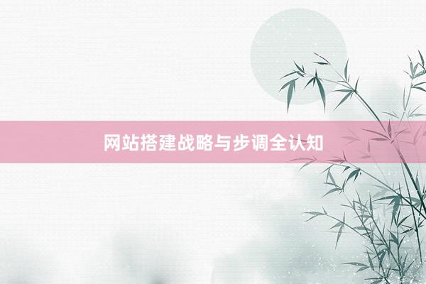 网站搭建战略与步调全认知