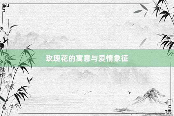 玫瑰花的寓意与爱情象征