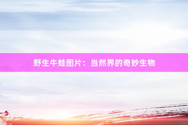 野生牛蛙图片：当然界的奇妙生物